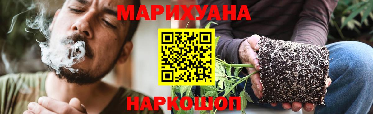 Марихуана планчик Люберцы